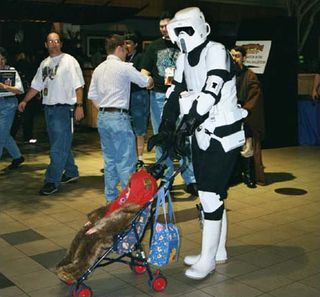 Dave regrets his stint on Endor