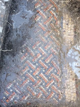 The Roman-age mosaic floor was discovered by workmen digging a trench at Luke Irwin's home.