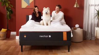 A man and a woman share a bed with a fluffy white dog on a Nectar Premier Copper mattress