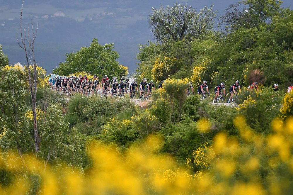 The peloton rides during stage 4 of the Criterium du Dauphine.