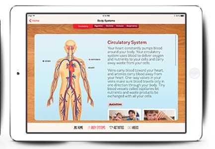 Class Tech Tips: DIY Human Body for Science Activities