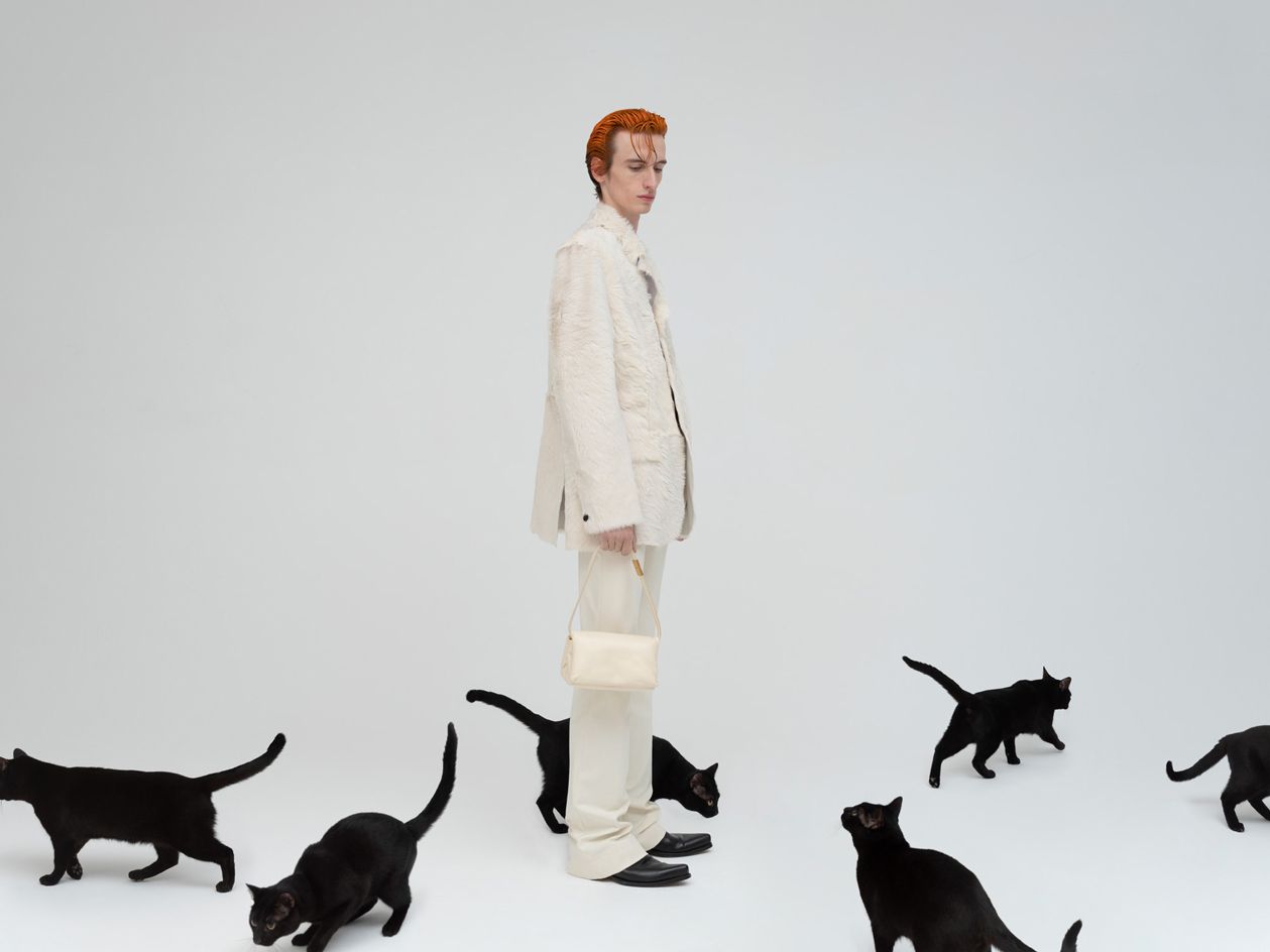 Photographed by Alessandro Furchino Capria, an in pale suit surrounded by cats