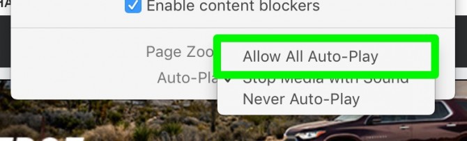 safari auto settings