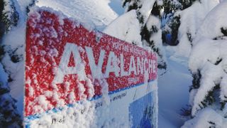 Avalanche sign with snow