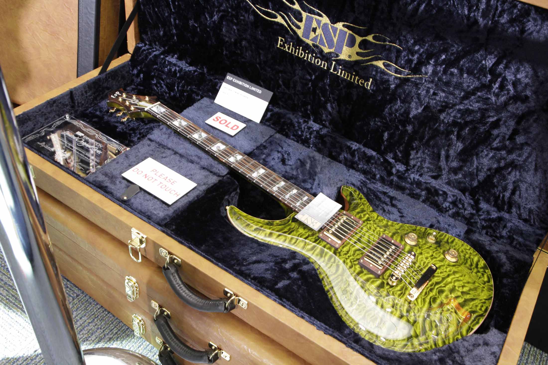 19. ESP Exhibition Limited Mystique-CTM-NT Ivy Green