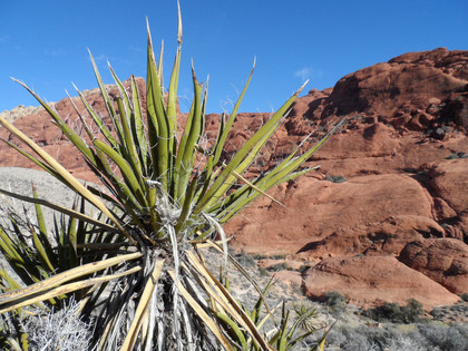 Hands on: samsung wb150f review