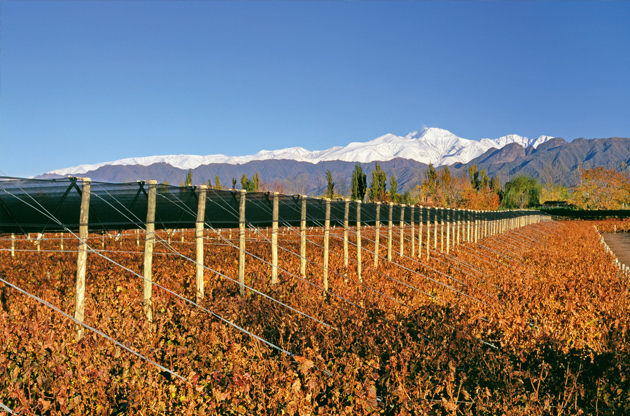 Bodega-Terrazas-de-los-Andes-in-Argentina