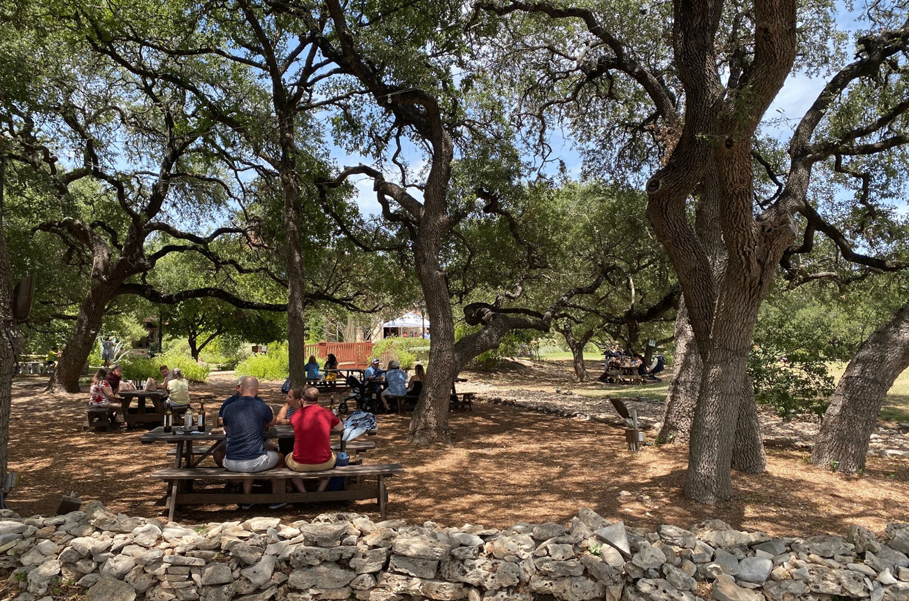 Duchman Vineyards, Texas