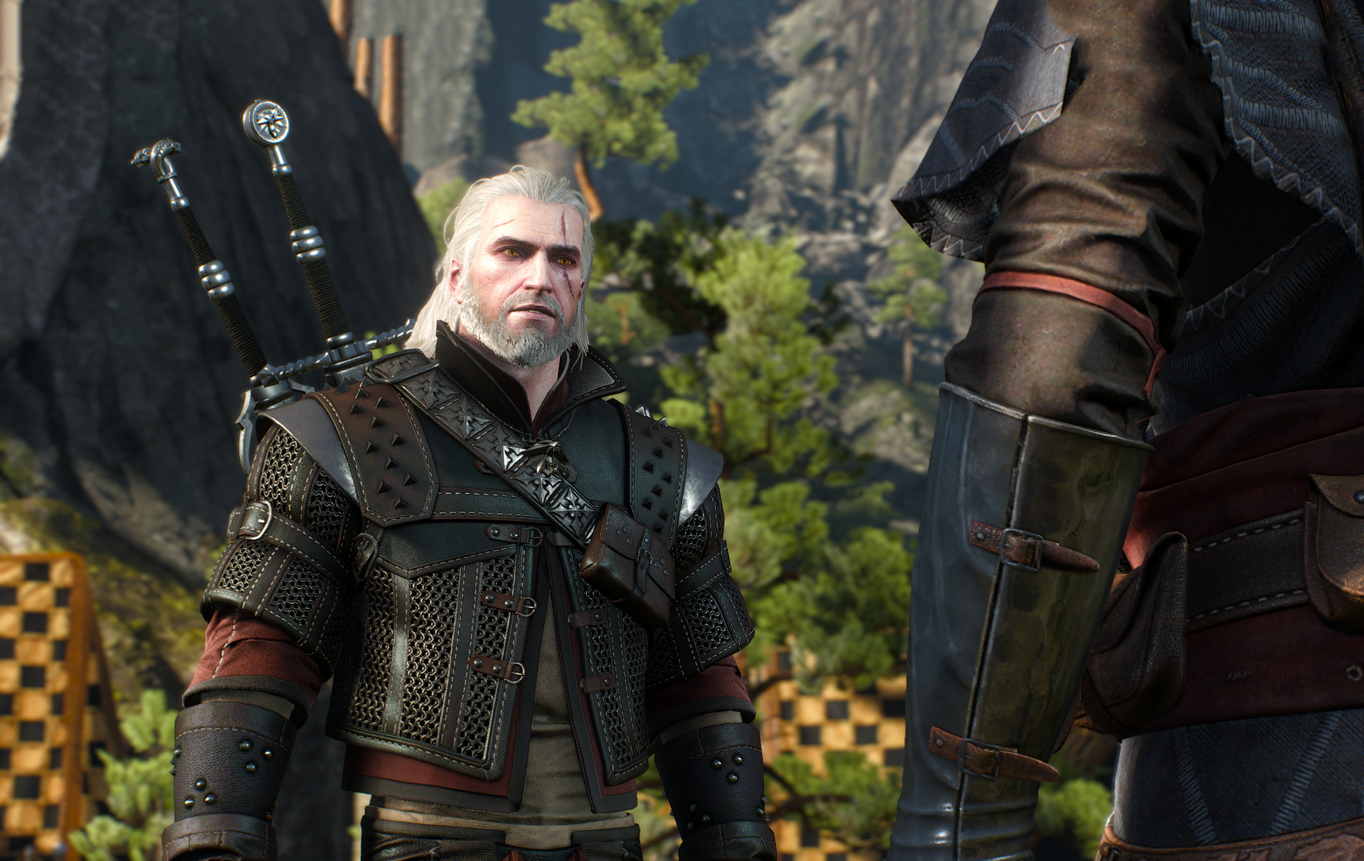 Witcher mods. Ведьмак 3 Геральт броня. Ведьмак 3: Дикая охота.