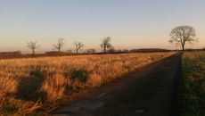 Lauren Shannon's field &mdash; soon to be yard