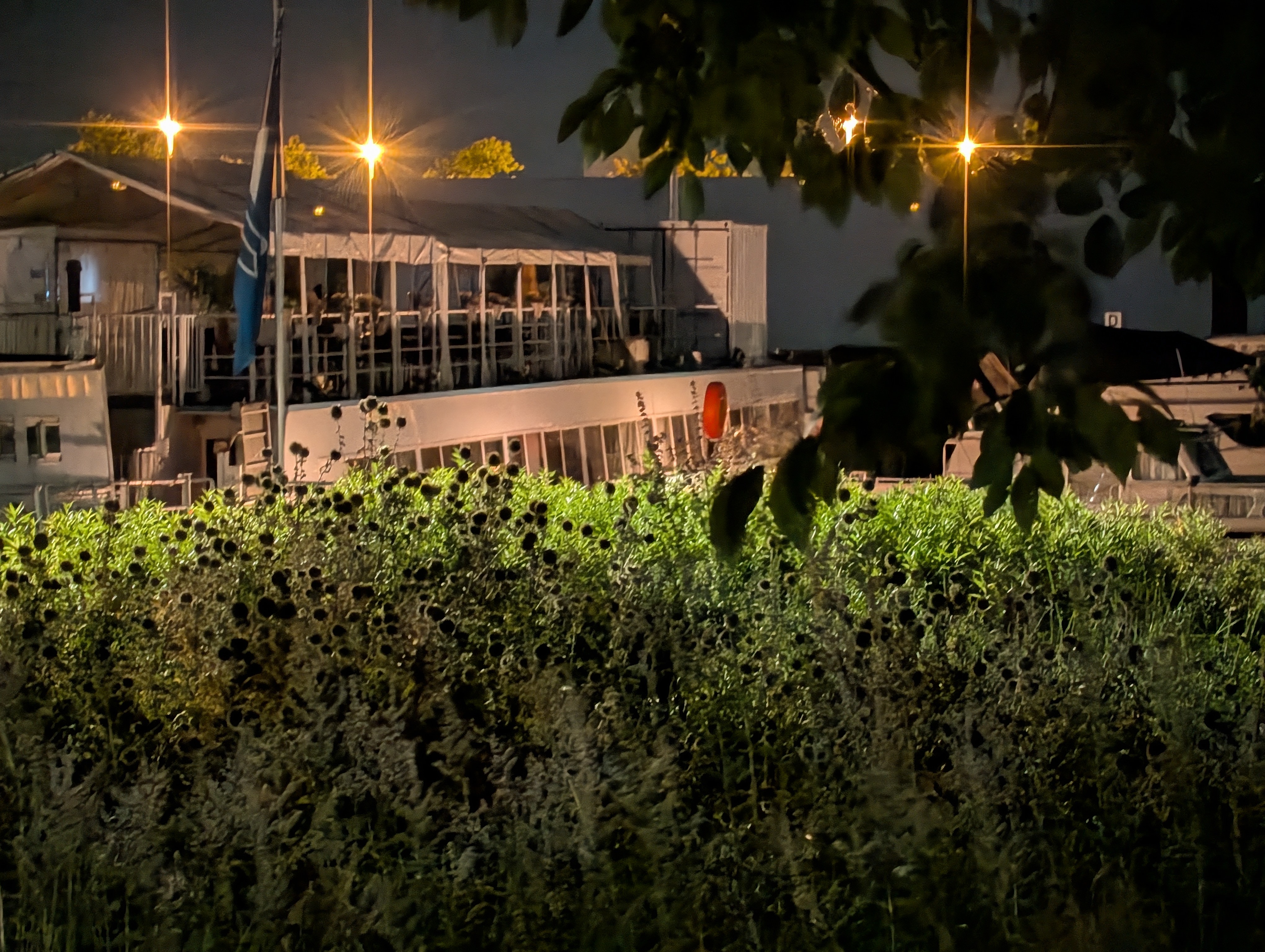 Google Pixel 10 Pro voorbeeldfoto