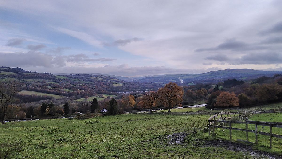 Vodafone Smart V10 camera sample