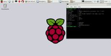 Raspberry Pi