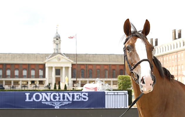 ‘Did I see a camera?’ Scott Brash’s Hello Forever finds time to pose for a picture during the vet inspection