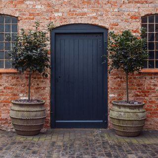 front door colour ideas, navy blue front door in farmhouse style house, with two large planters and trees each side, cobbled