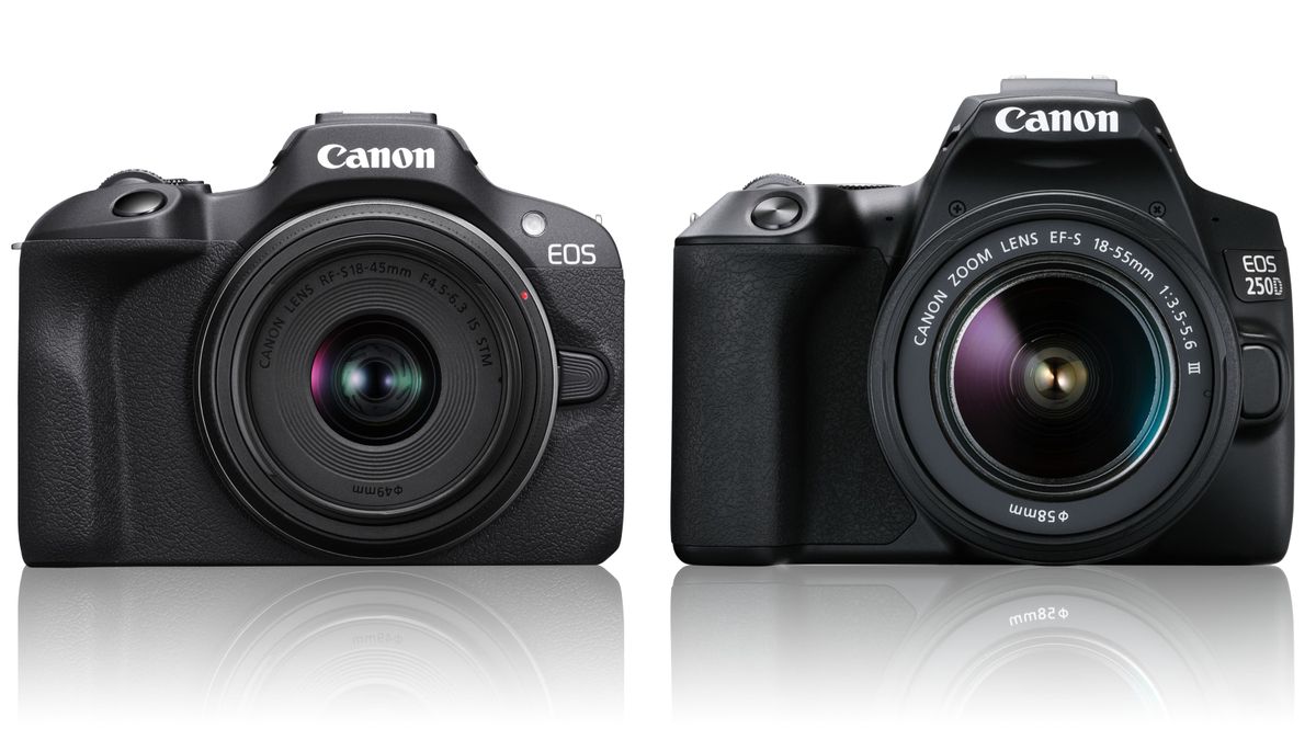 Canon EOS R100 vs EOS Rebel SL3