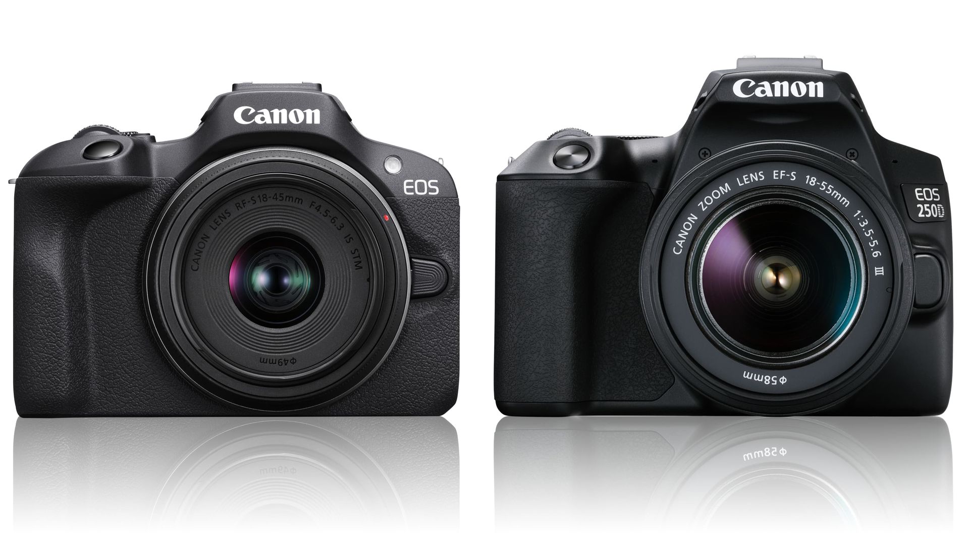 Canon eos r8 отзывы