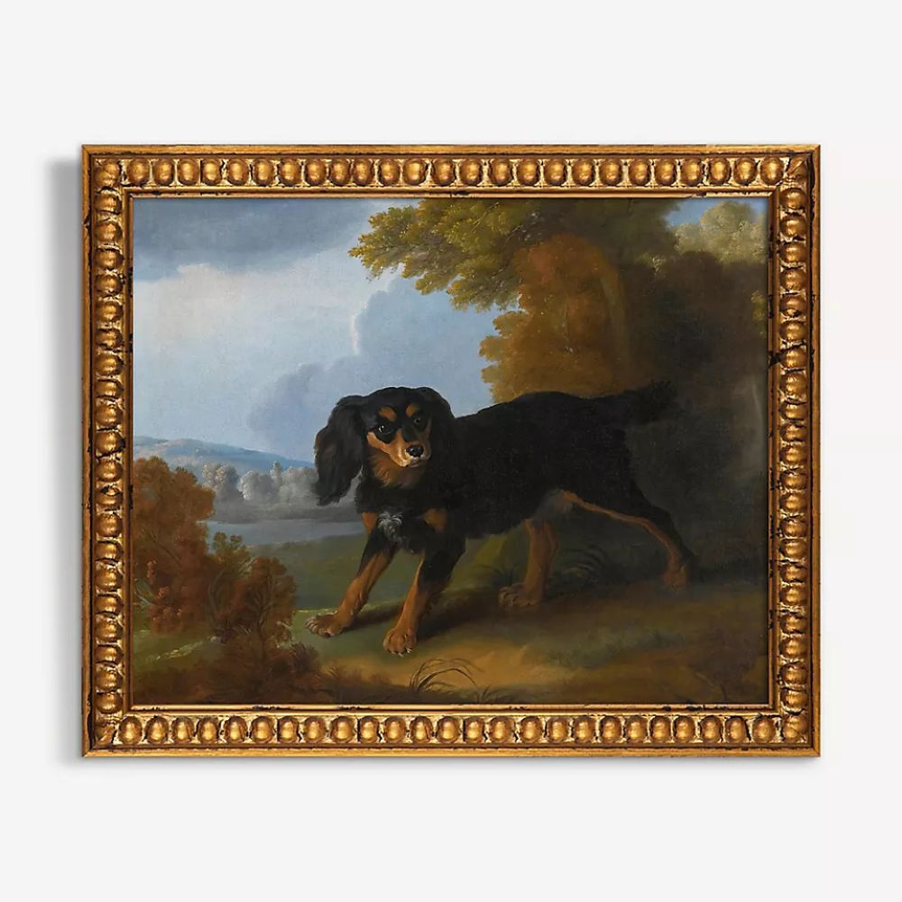 King Charles Spaniel Dog Portrait Wall Art