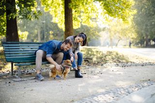 Couple sitting on a park bench with a dog after texting
