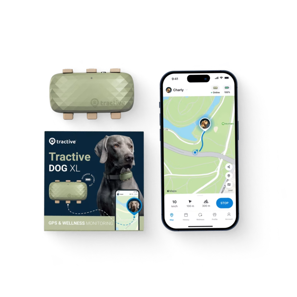 Tractive XL Smart Dog GPS Tracker packaging, tracker and smartphone display, one of the best GPS trackers for pets