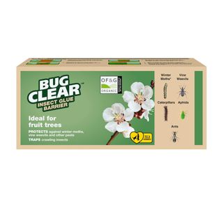 Rectangular box of Bug Clear Insect Glue on a white barrier