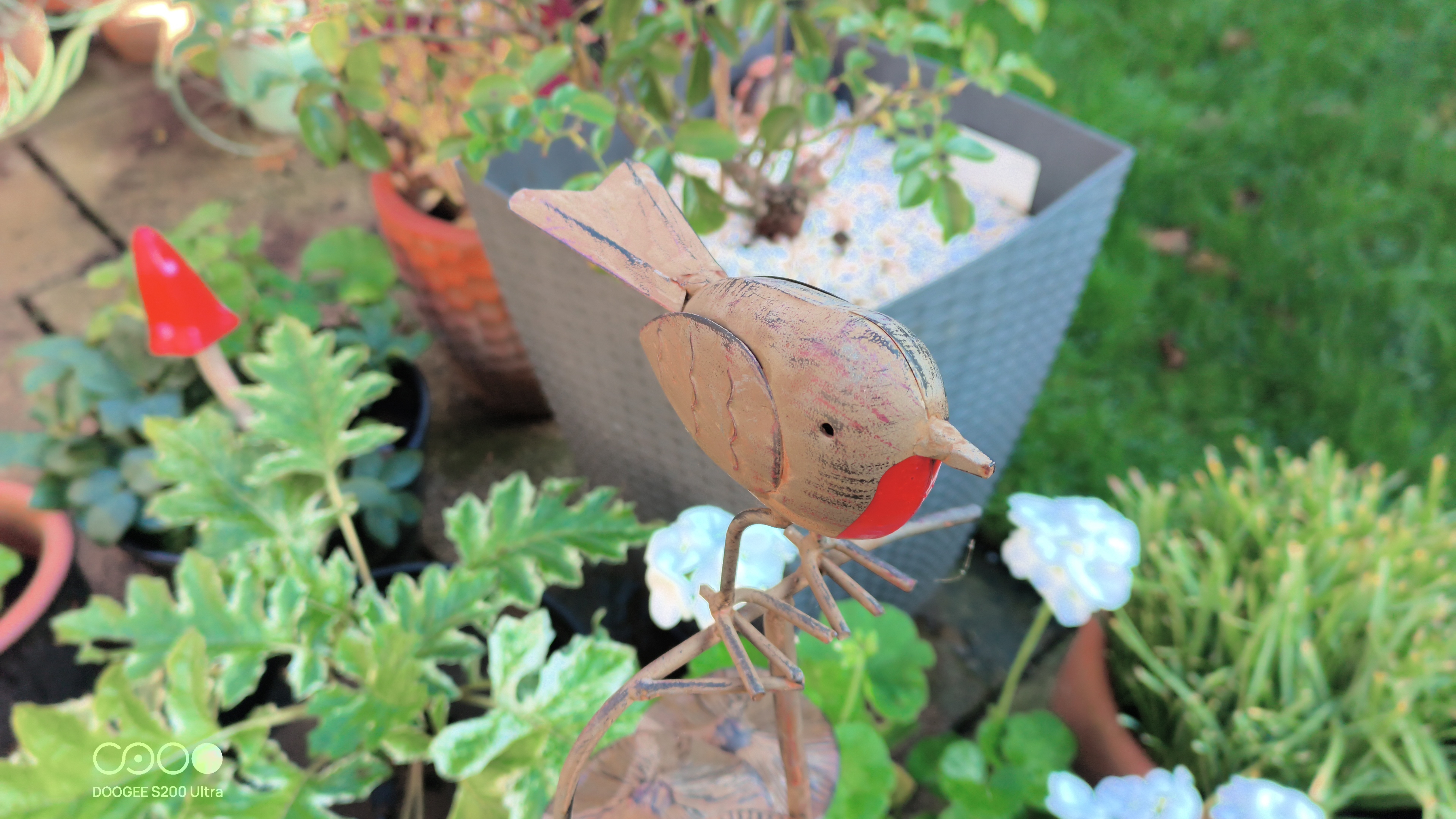 Doogee S200 Ultra Photo Examples