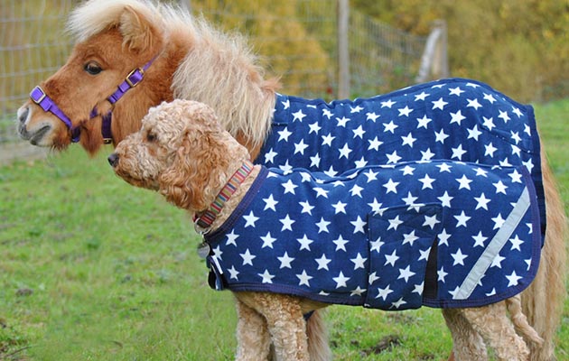 matchingstarfleecesmikimacy