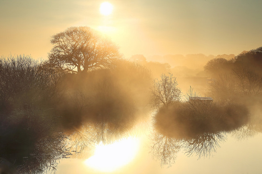 Image credit: Tony Armstrong