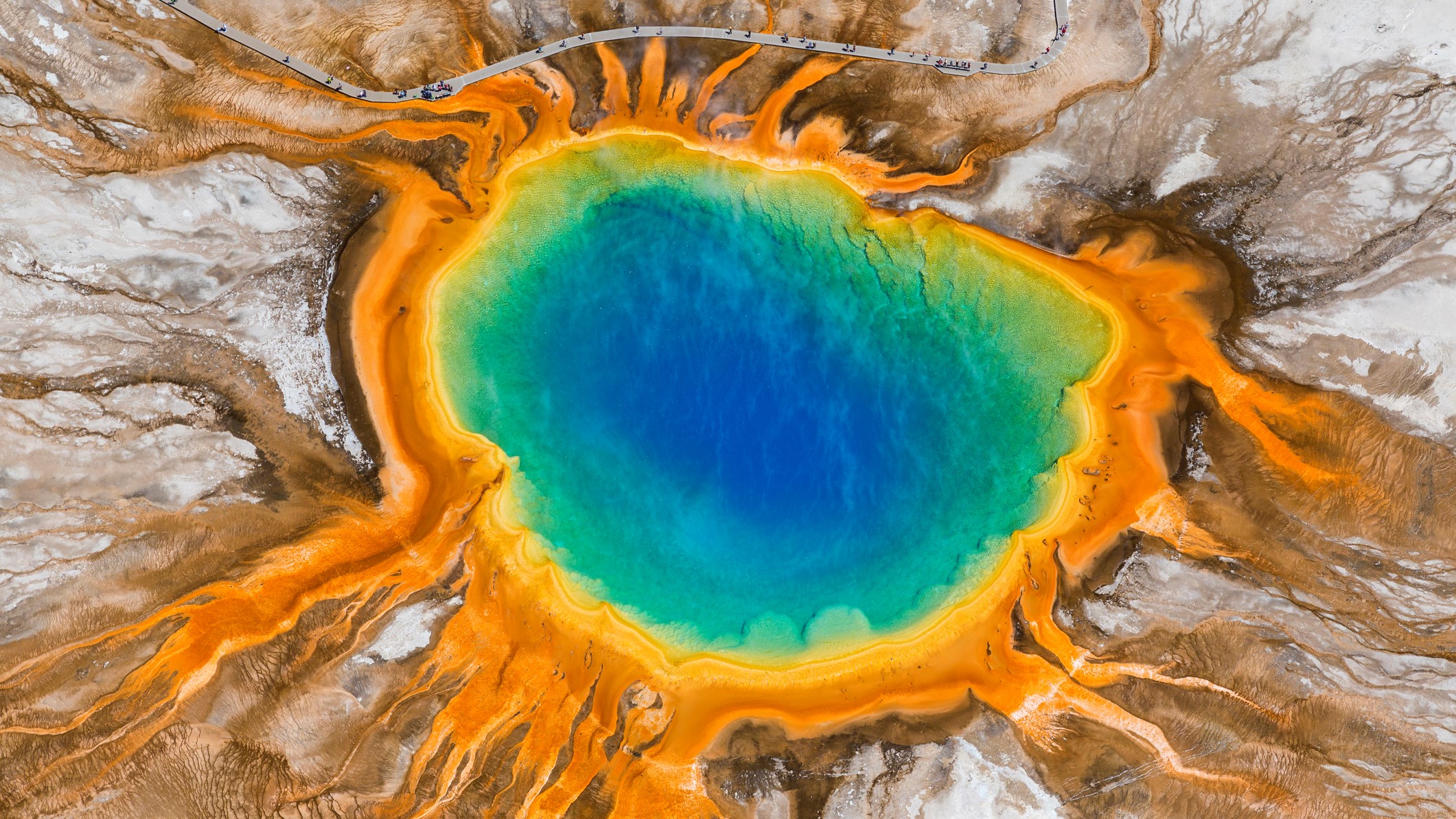 Aerial view of the Grand Prismatic Spring. Blue water at the center of the spring gradually turning green further out and then yellow and orange at the edge.