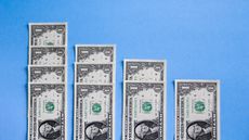 Dollar bills are lined up in four rows.