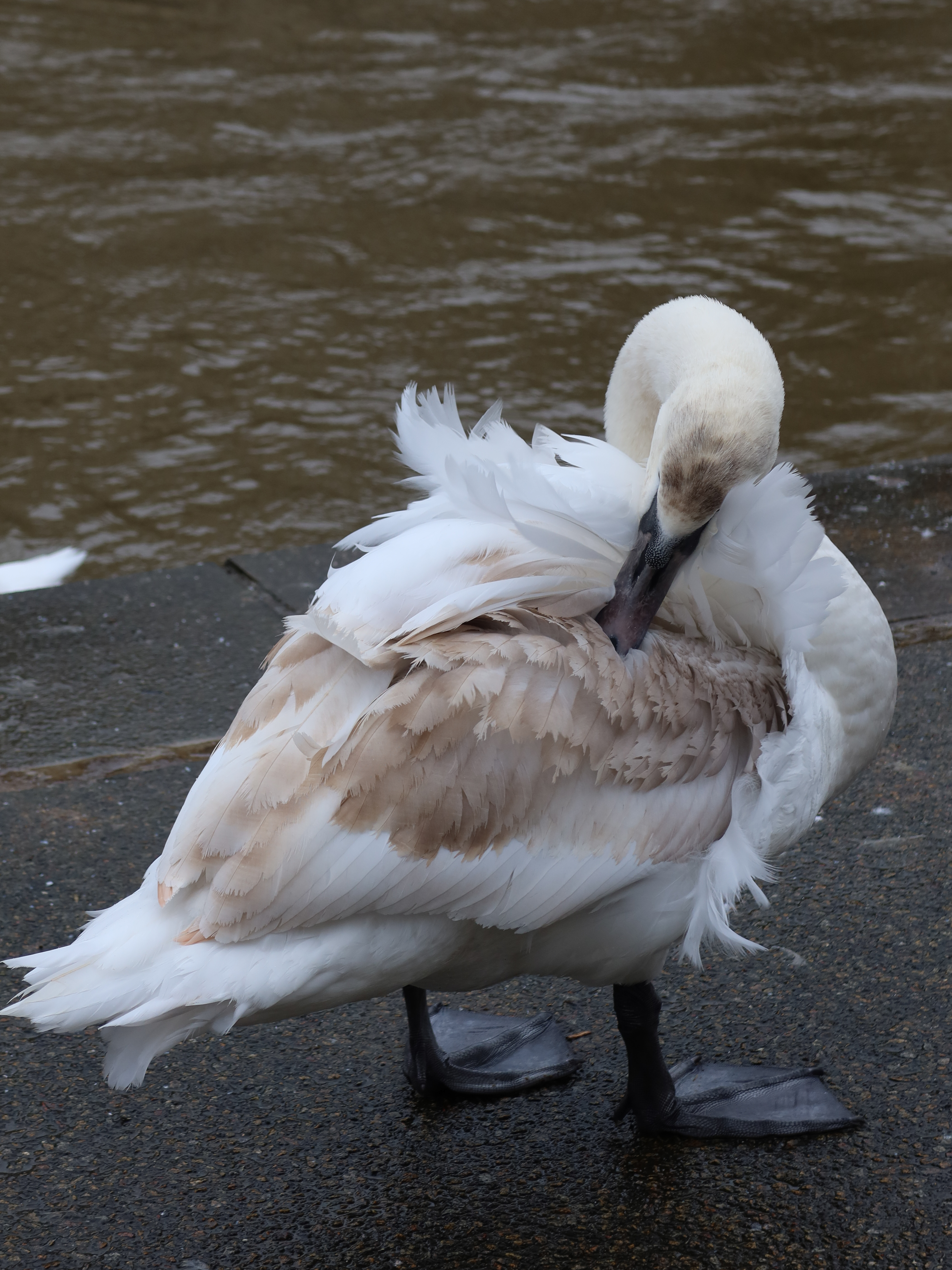 A photo taken on a Canon PowerShot G7 X Mark III compact camera