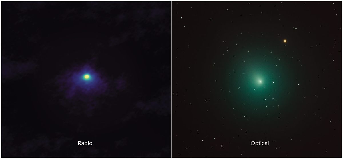 The Christmas Comet 2022 Nasa Christmas Comet 46P Is Making the Season Bright (and Green) for The Christmas Comet 2022 Nasa Christmas Comet 46P Is Making the Season Bright (and Green) for