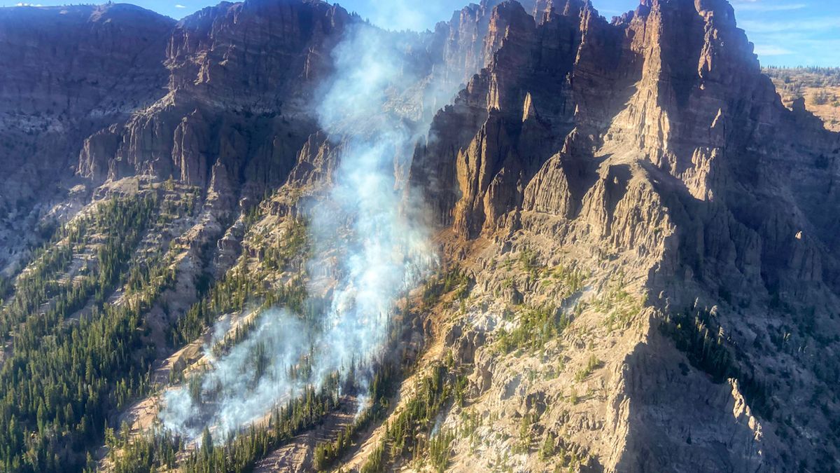 Fire in Yellowstone National Park