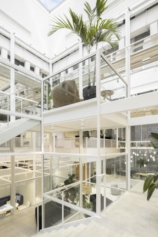 White interior of Sid Lee’s international hq, transparent frame, planting, lighting, glass walled stairwell, high white ceiling, brown armchair and wooden stool, skylight