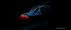 sperm swimming in a corkscrew motion