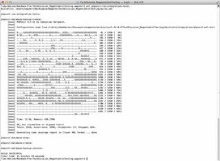 Illustration 2: Running the integration tests from the command line