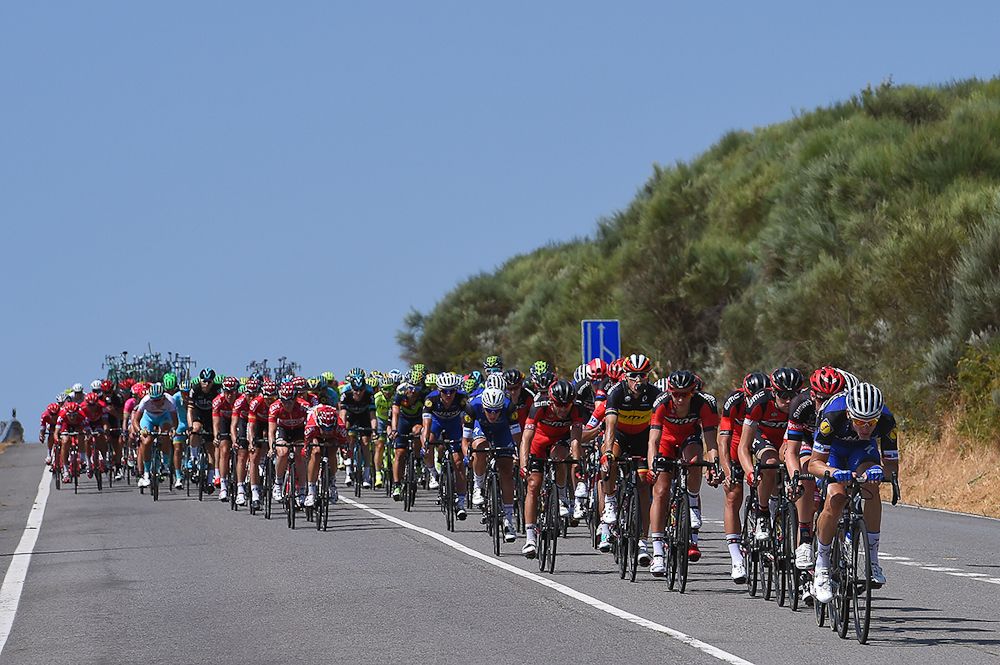 The peloton in action during stage 7 at the Vuelta