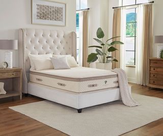 PlushBeds Botanical Bliss Mattress in a bedroom.