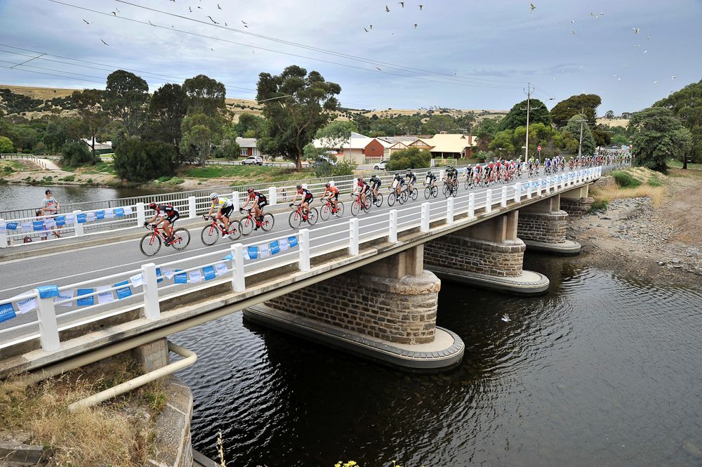 The peloton in action during stage 3 at the Tour Down Under
