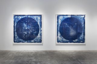 Two cyanotype works appear in Lia Halloran's exhibit "Your Body is a Space That Sees Us."