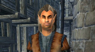 Glarthir—upstanding citizen or local loon? Screenshot by EbonySkyrim, The Elder Scrolls Wiki.