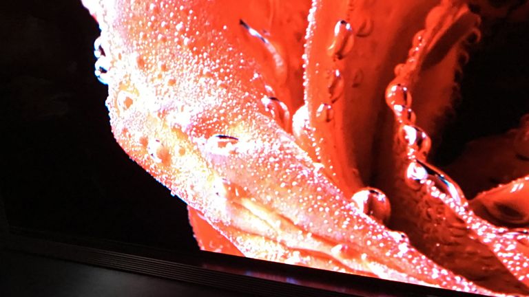 LG Signature OLED TV