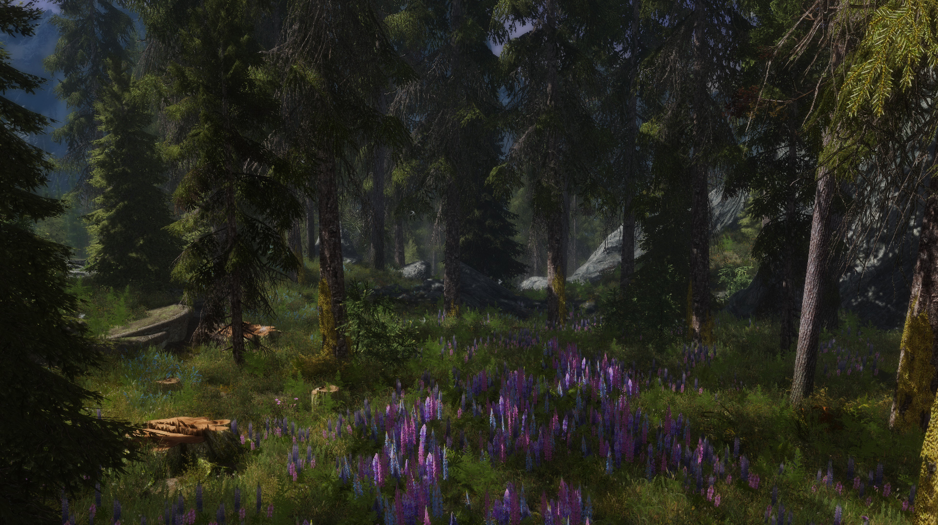 skyrim best grass mod