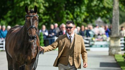 Stephen Heal and Hisco at the Bramham Horse Trials first trot-up 2026.