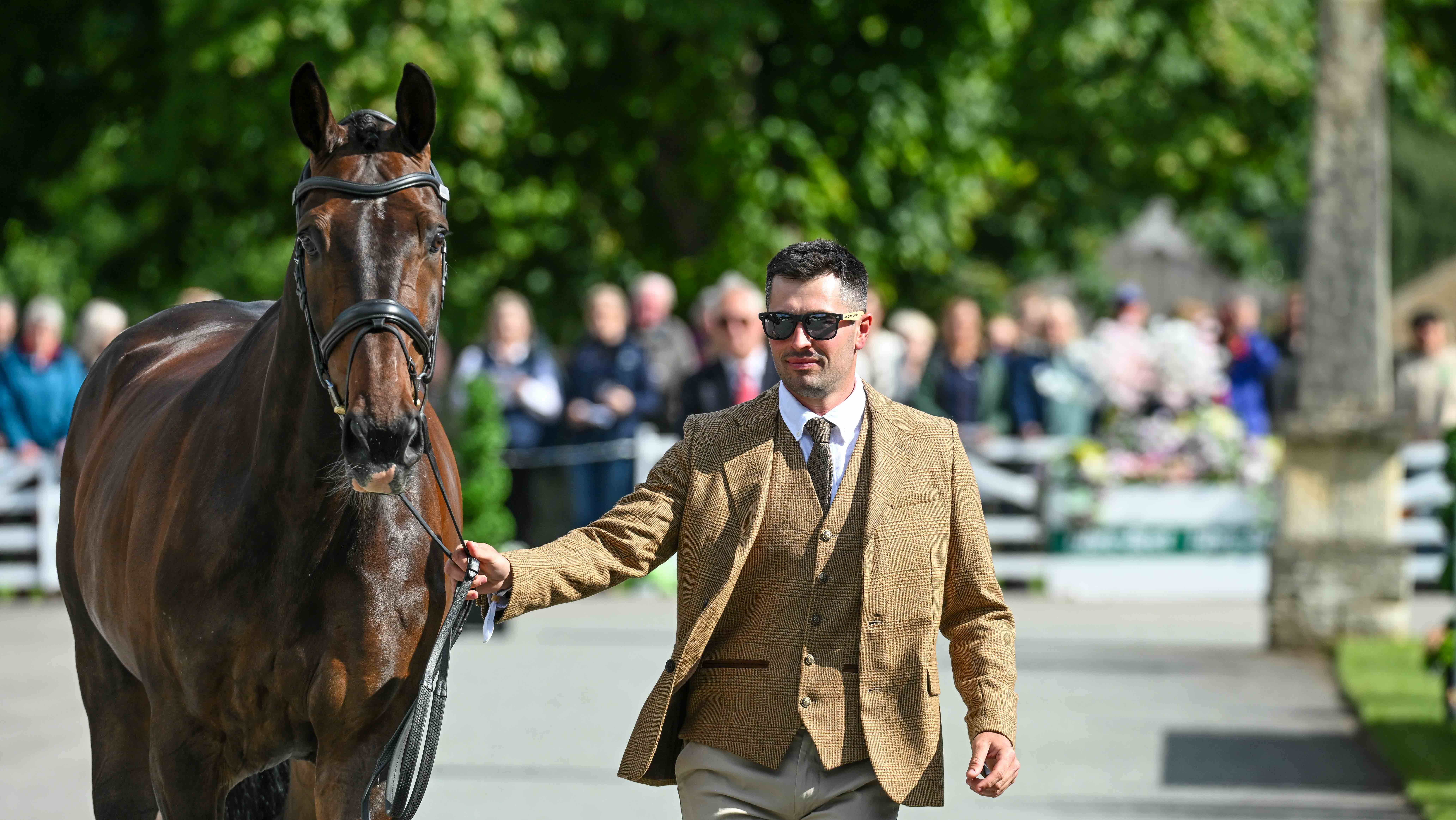 Stephen Heal and Hisco at the Bramham Horse Trials first trot-up 2026.