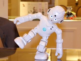 Best Robot: Ubtech Lynx