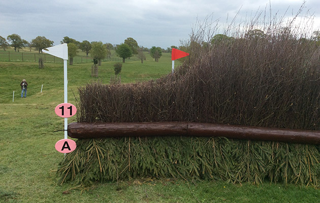Fence 11A