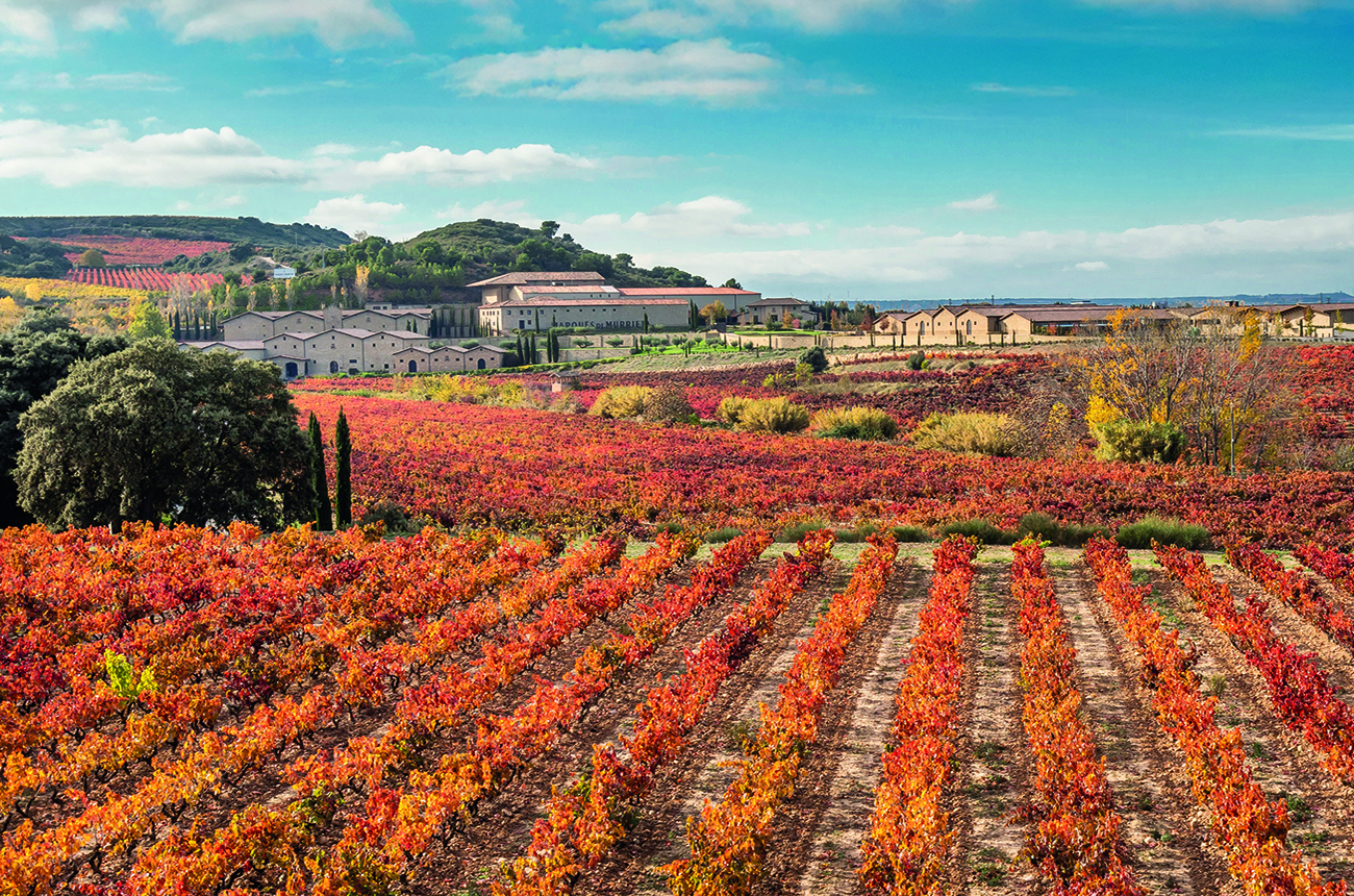Marqu&amp;eacute;s de Murrieta vineyards
