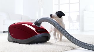 Miele Complete C3 Cat & Dog review