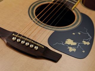 Given the modest price tag, Takamine has paid considerable attention to detail on the EG50TH